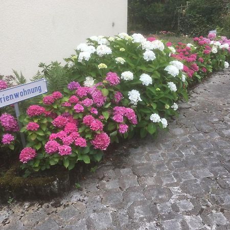Ferienwohnung Sponheim トラーベン・トラールバッハ エクステリア 写真