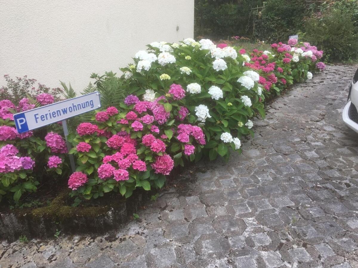 Ferienwohnung Sponheim トラーベン・トラールバッハ エクステリア 写真